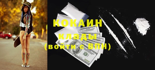 ешки Пересвет