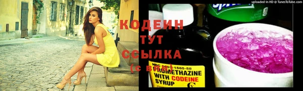 ешки Пересвет
