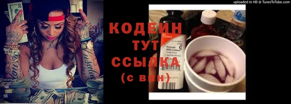 амф Осташков