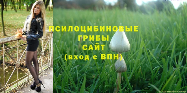 амф Осташков