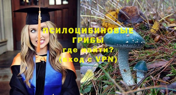 экстази Пестово