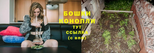 ешки Пересвет