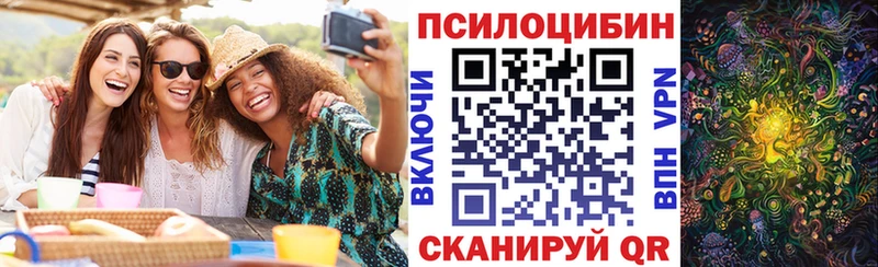 Псилоцибиновые грибы мицелий  купить закладку  Нижнеудинск 