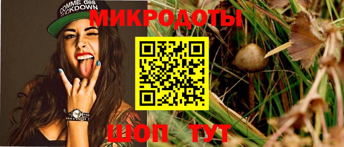 Псилоцибиновые грибы GOLDEN TEACHER  Нижнеудинск  цены наркотик  Галлюциногенные грибы мухоморы 