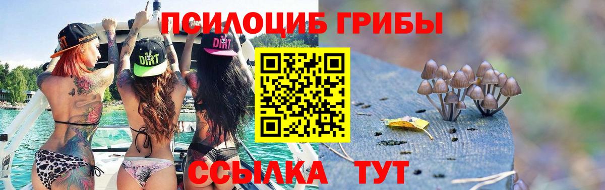Галлюциногенные грибы MAGIC MUSHROOMS  Вход с VPN  Нижнеудинск  купить наркоту  Галлюциногенные грибы мухоморы 